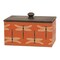 Set of 3 Garden Bugs Metal Storage Boxes Set Galvanized Rectangular Containers With Wooden Lids Ladybug Bee Dragonfly Garden Bug Pattern Decor